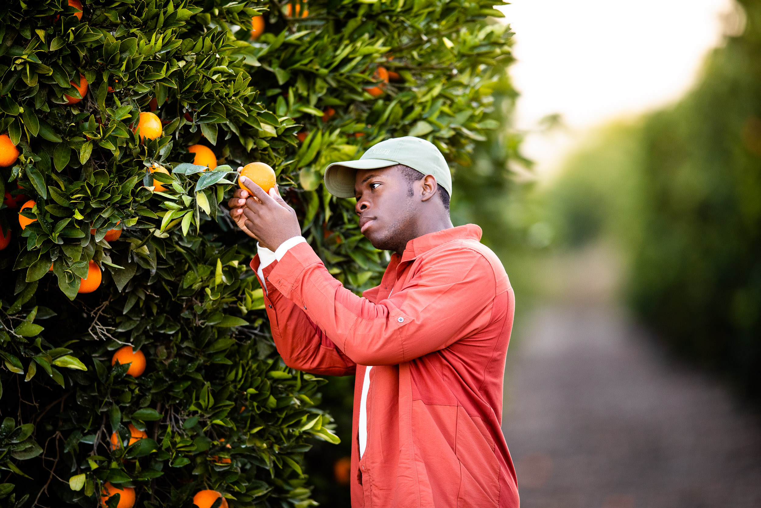 GeoffJohnson_Agriculture_BayerCitrus_05