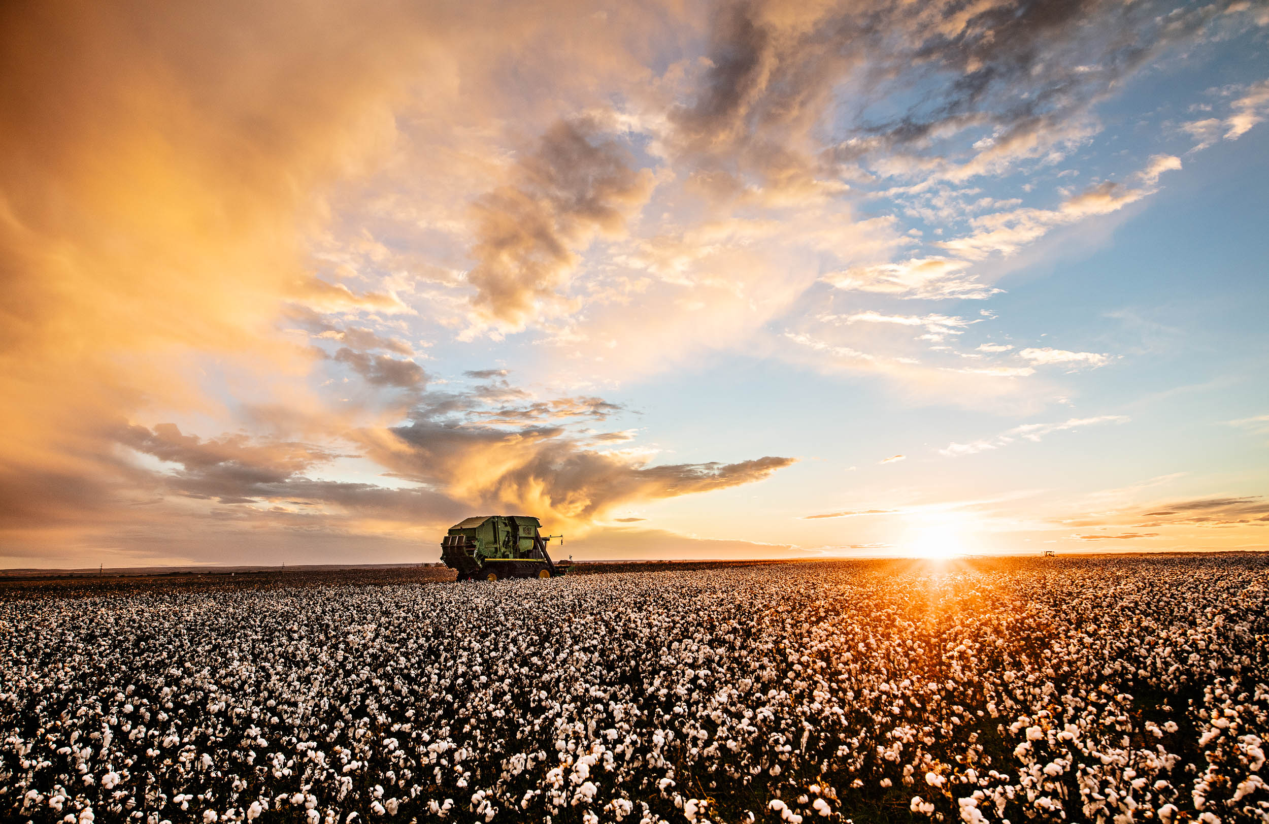 GeoffJohnson_Agriculture_BayerCotton_16